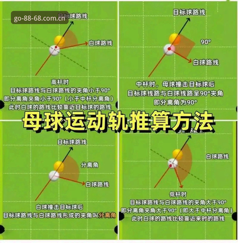 8868体育平台新手教程：体育安卓版哪个好的完整指南